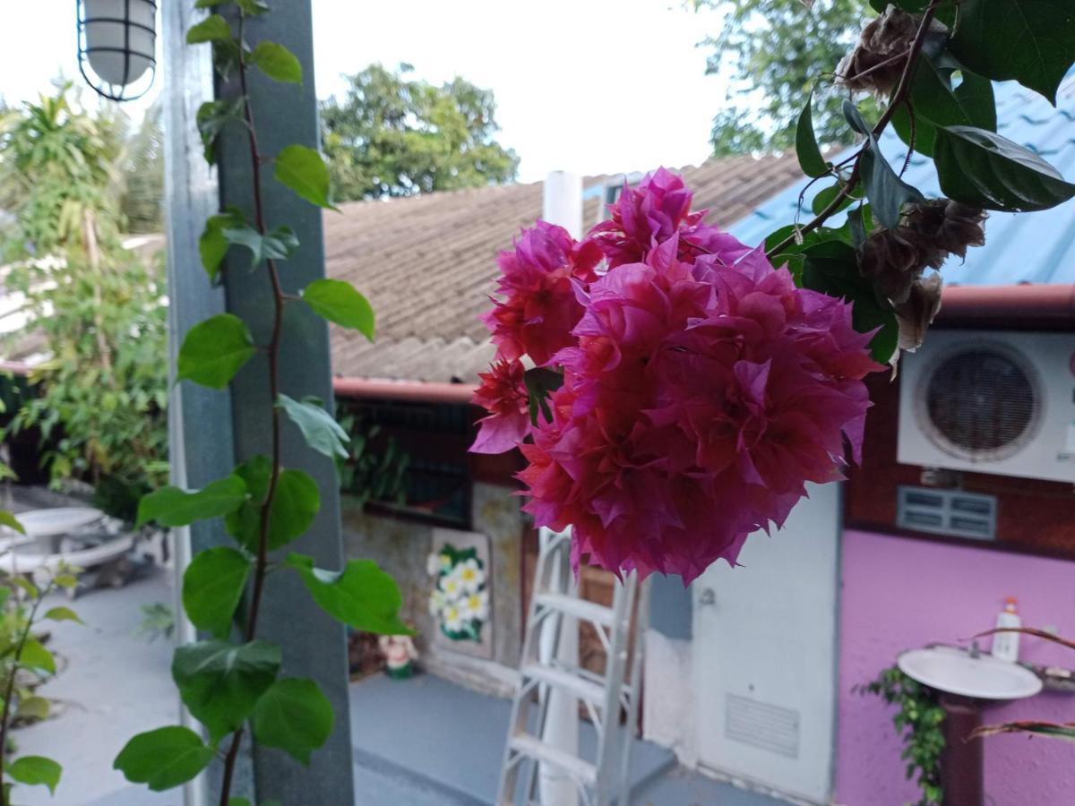 Comon Bungalow Haadchaophao Haad Chao Phao Extérieur photo